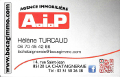 Logo AIP