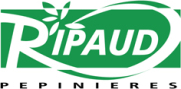 Logo Ripaud